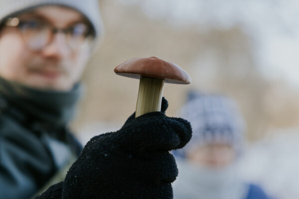 ESTRADA AZK 2026 Sąsiedzki spacer-47