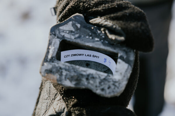 ESTRADA AZK 2026 Sąsiedzki spacer-56