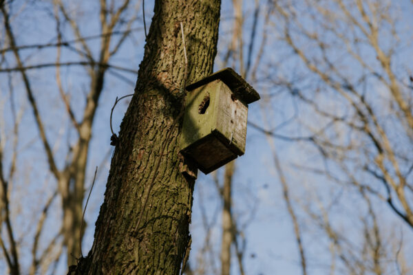 ESTRADA AZK 2026 Sąsiedzki spacer-73