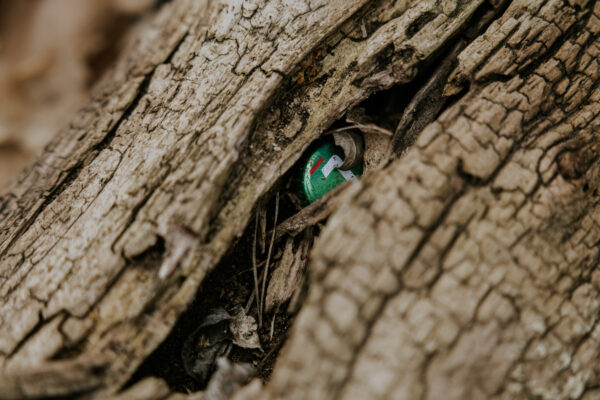 ESTRADA AZK 2026 Sąsiedzki spacer 21.03.2026 (50)