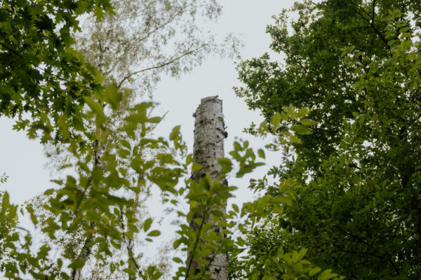 Spacer historyczno-przyrodniczy (118)